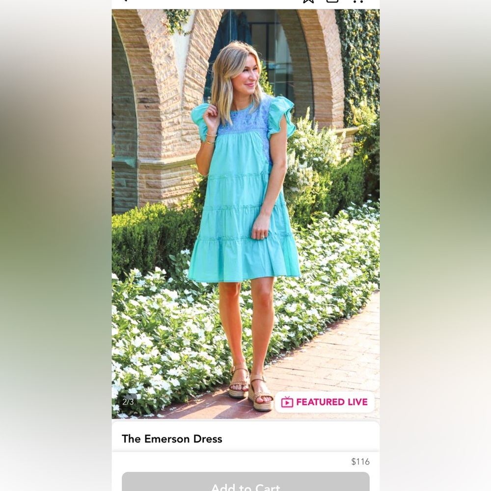 J. Marie blue embroidery dress